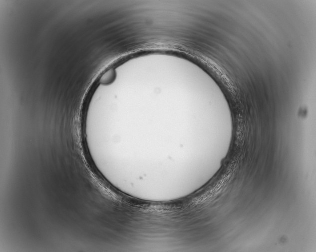 X0000103470942200810031517