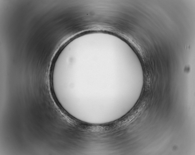 X0000103470943200810031517