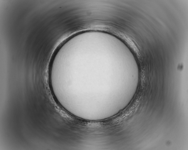 X0000103470944200810031517