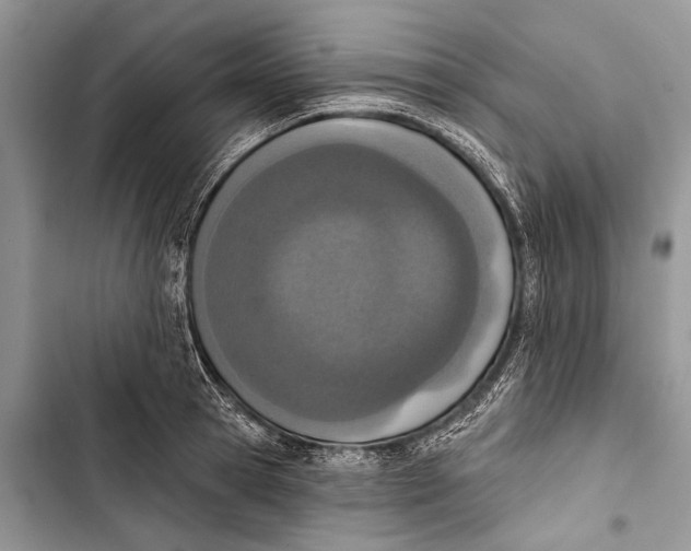 X0000103470945200810031517