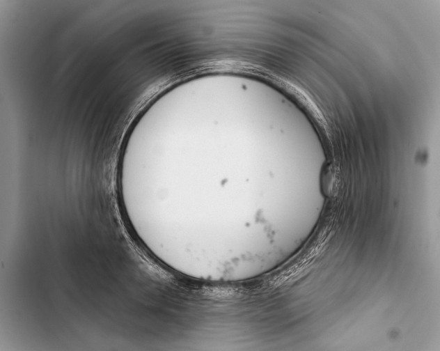 X0000103470946200810031517