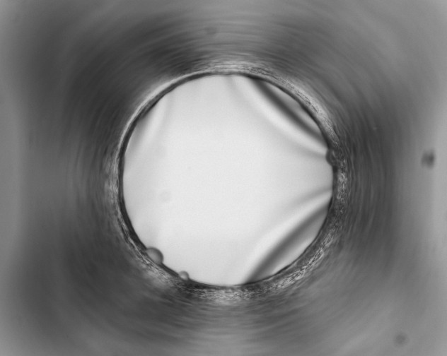 X0000103470948200810031517