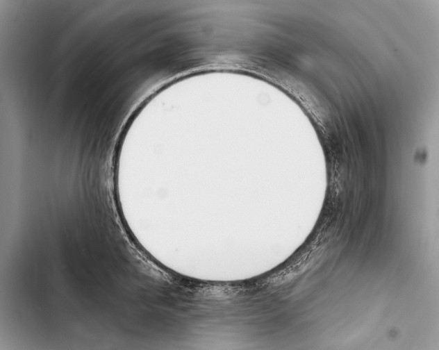 X0000103470950200810031517