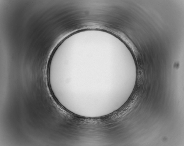 X0000103470951200810031517