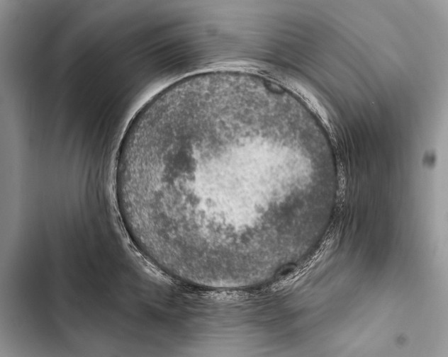 X0000103470952200810031517