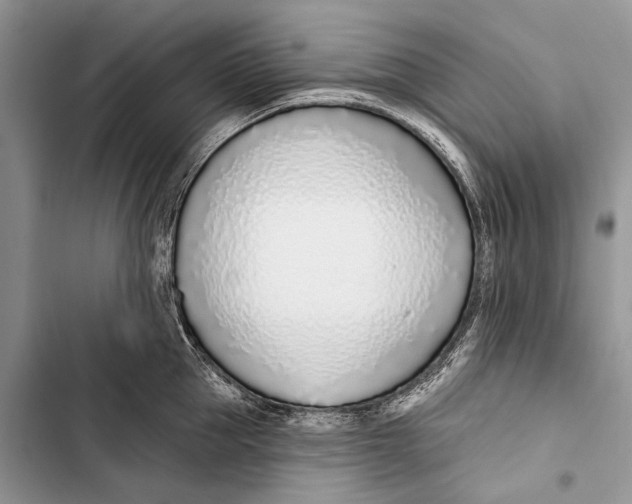 X0000103470953200810031517