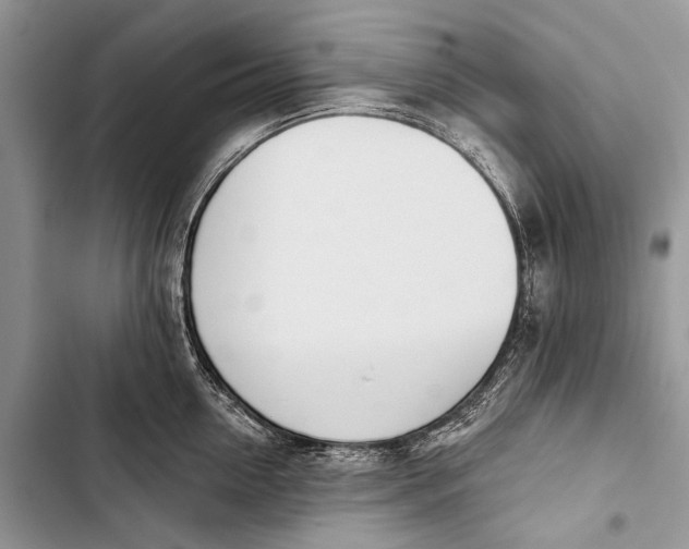 X0000103470954200810031517