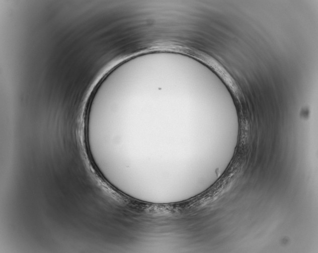 X0000103470955200810031517