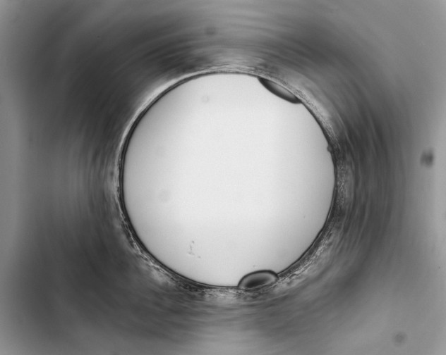 X0000103470956200810031517