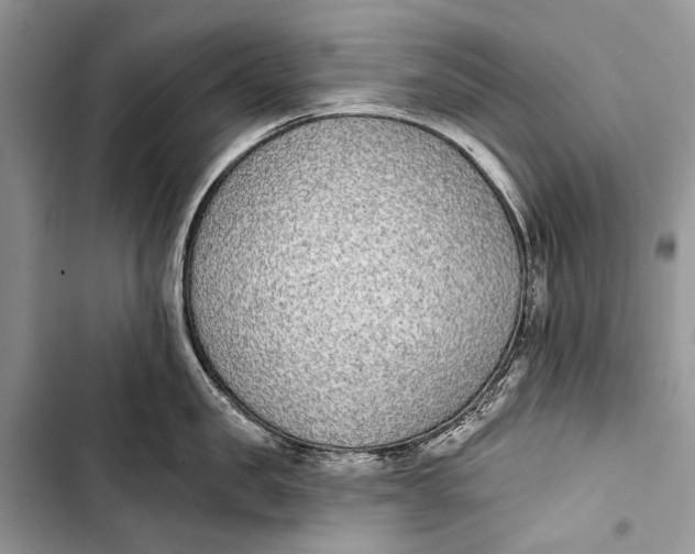 X0000103470957200810031517