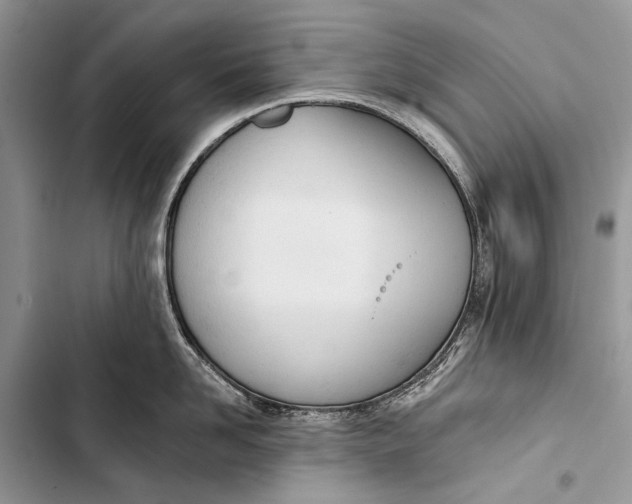 X0000103470958200810031517