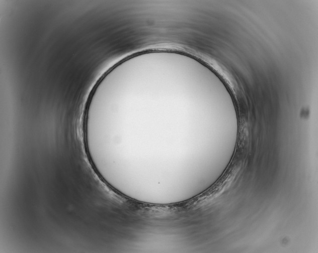 X0000103470959200810031517