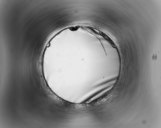 X0000103470960200810031517