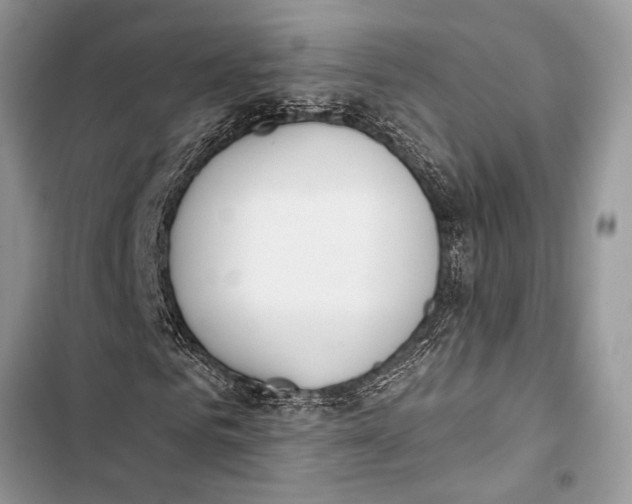 X0000103470961200810031516