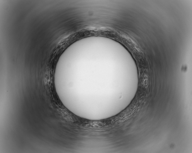 X0000103470966200810031516