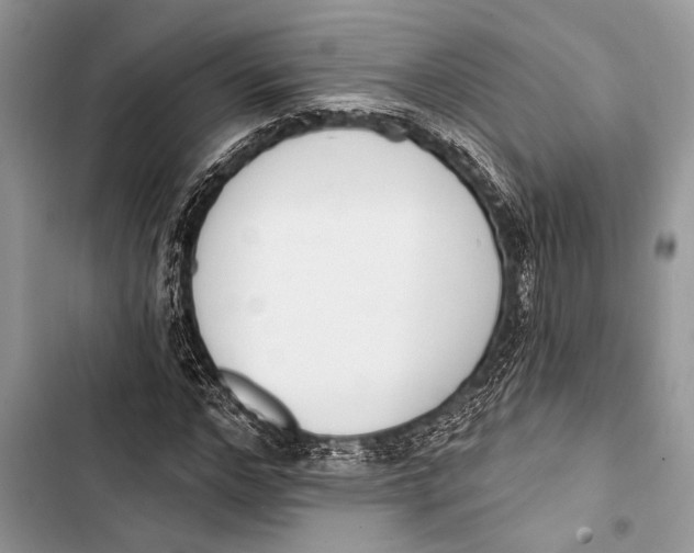 X0000103470968200810031516