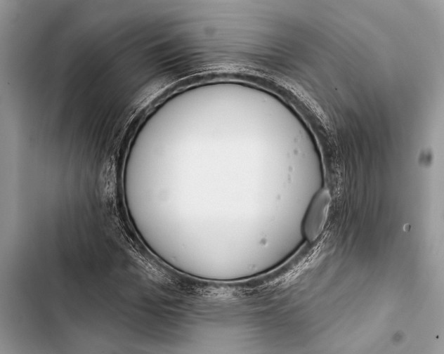 X0000103470969200810031516