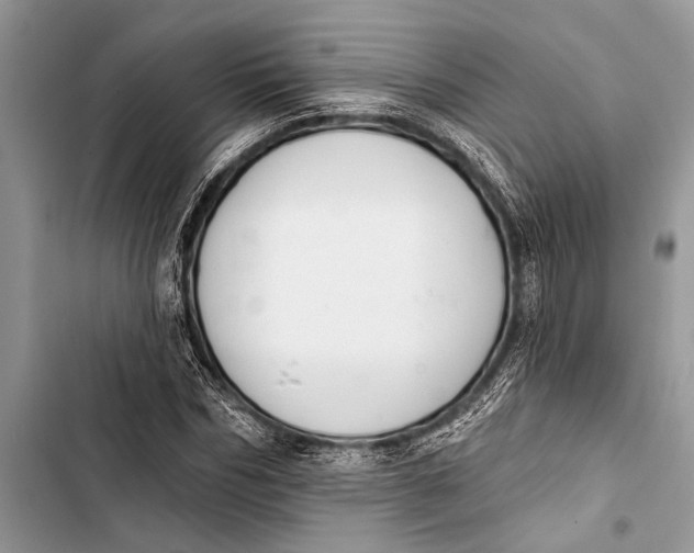 X0000103470970200810031516