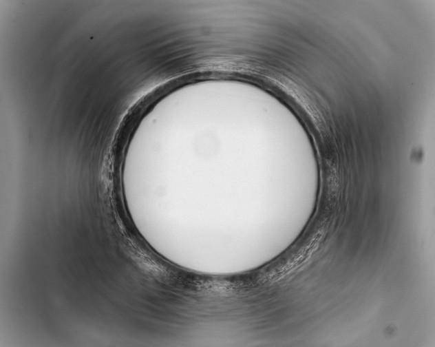 X0000103470971200810031516