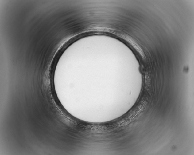 X0000103470972200810031516