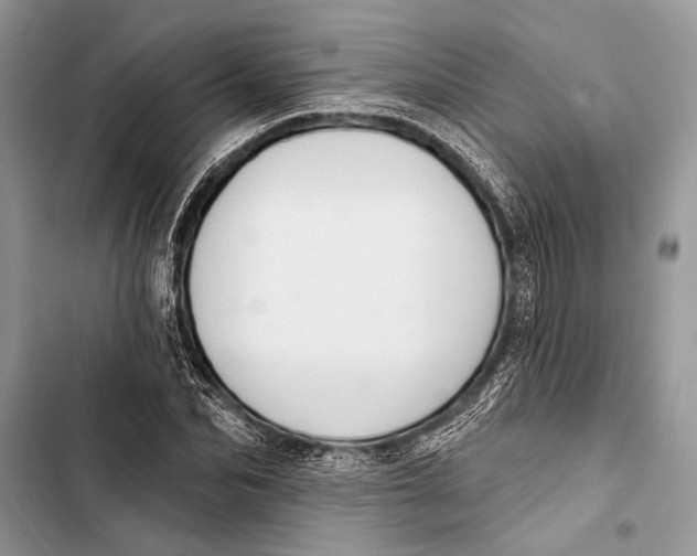 X0000103470974200810031516