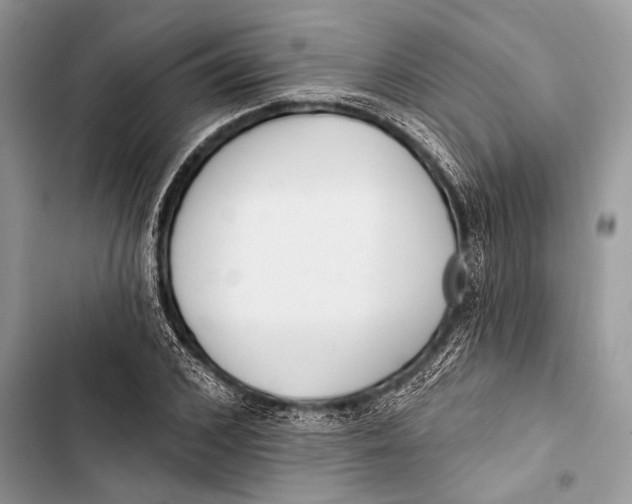 X0000103470976200810031516