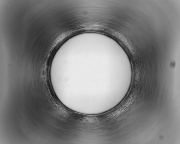 X0000103470978200810031516