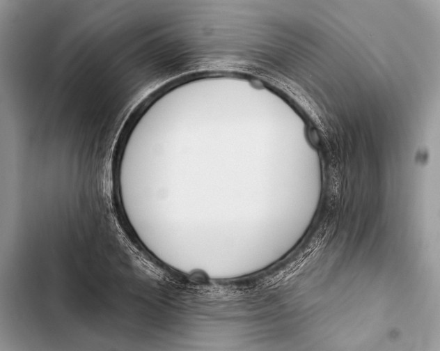 X0000103470980200810031516