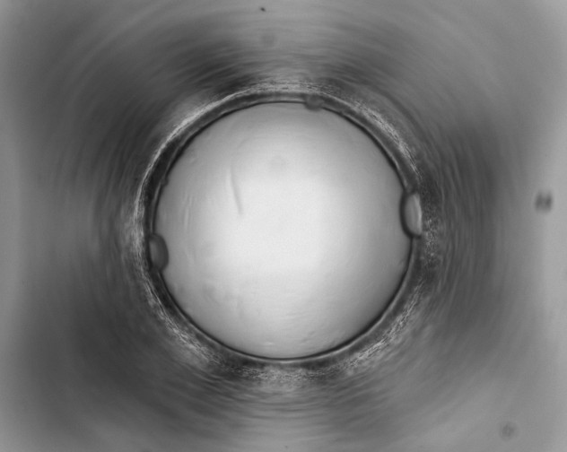 X0000103470981200810031516