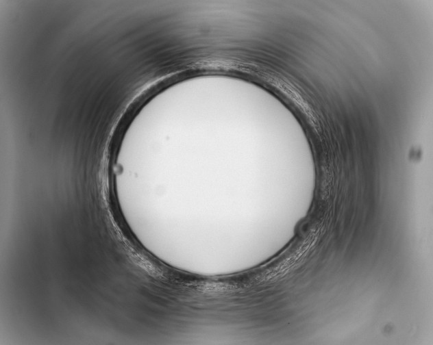 X0000103470984200810031516