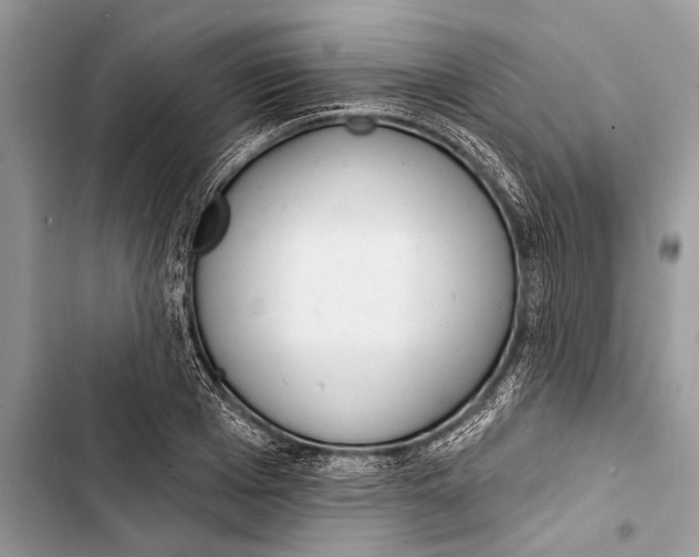 X0000103470985200810031516