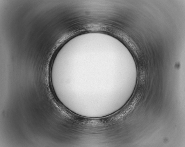 X0000103470986200810031516