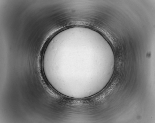 X0000103470987200810031516