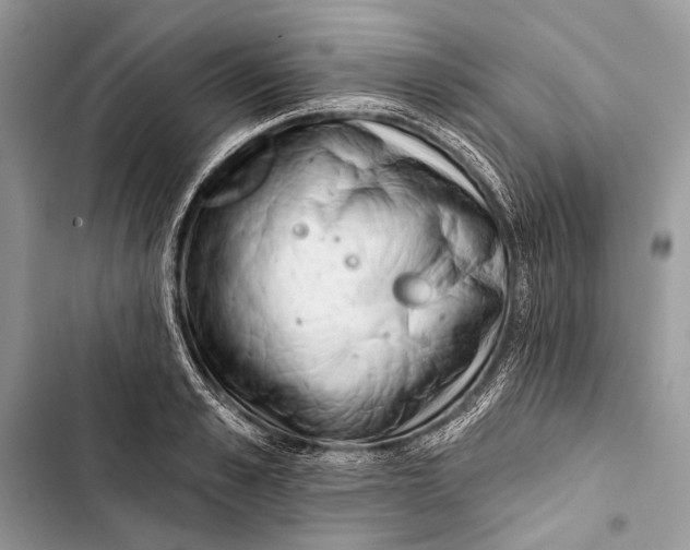 X0000103470989200810031516