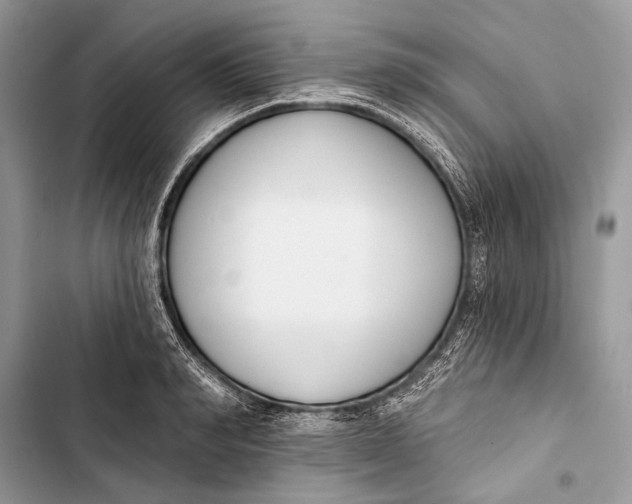 X0000103470990200810031516