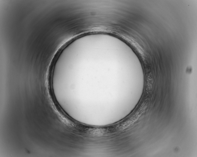 X0000103470991200810031516