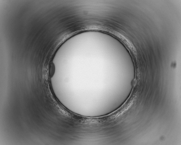 X0000103470993200810031516