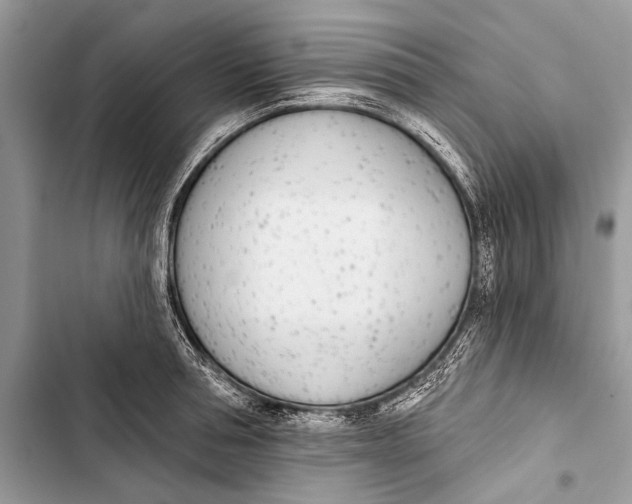 X0000103470994200810031516