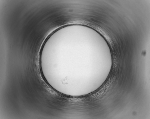 X0000103470996200810031516