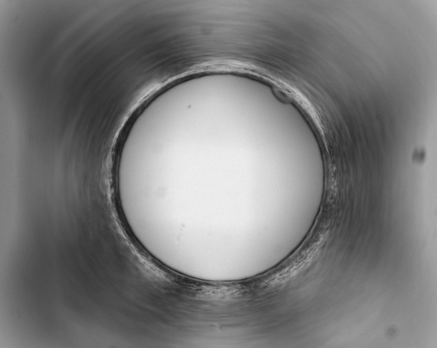 X0000103470997200810031516