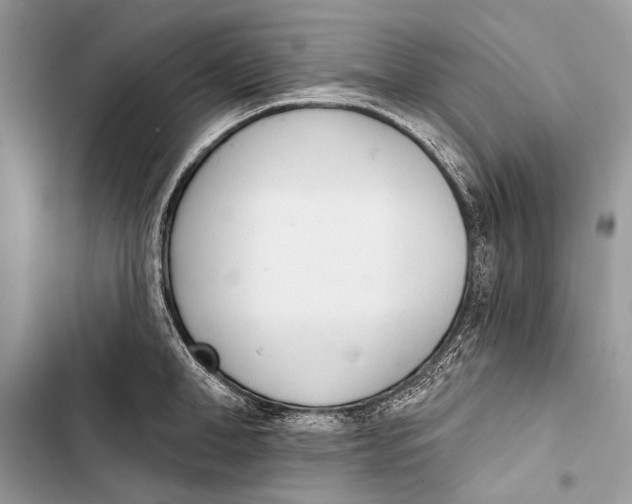 X0000103470998200810031516