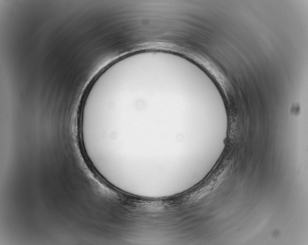 X0000103470999200810031516