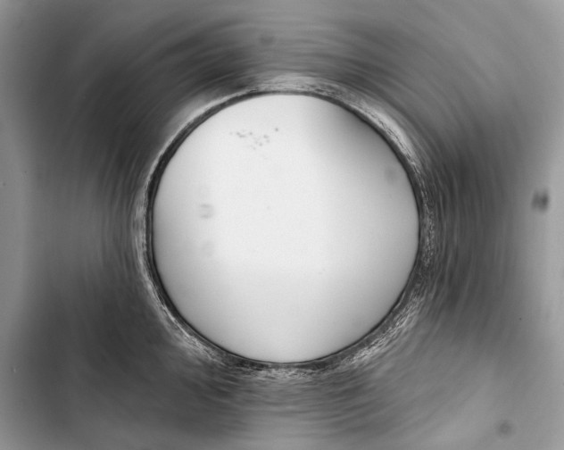 X0000103471000200810031516