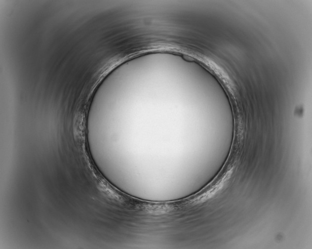 X0000103471001200810031516