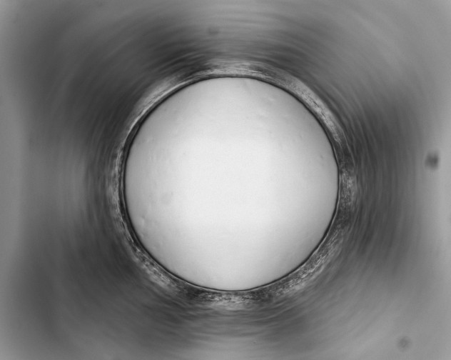 X0000103471002200810031516