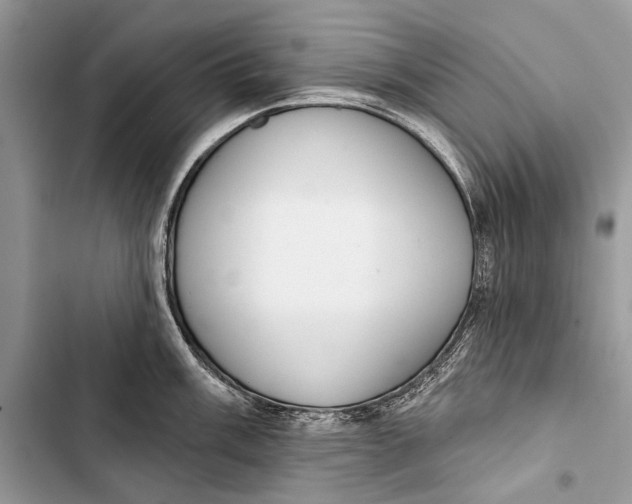 X0000103471003200810031516