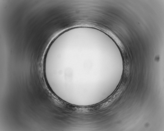 X0000103471004200810031516