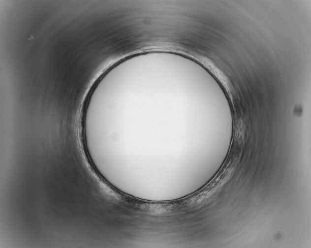 X0000103471005200810031516