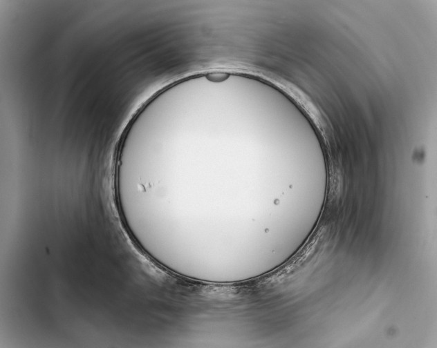 X0000103471006200810031516