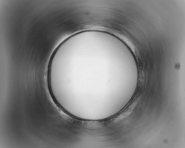 X0000103471007200810031516